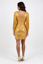 Sequin Tassel Mini Dress — back view