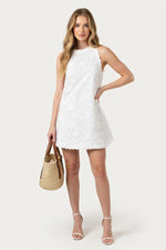 Lace Sleeveless Mini Dress — front view