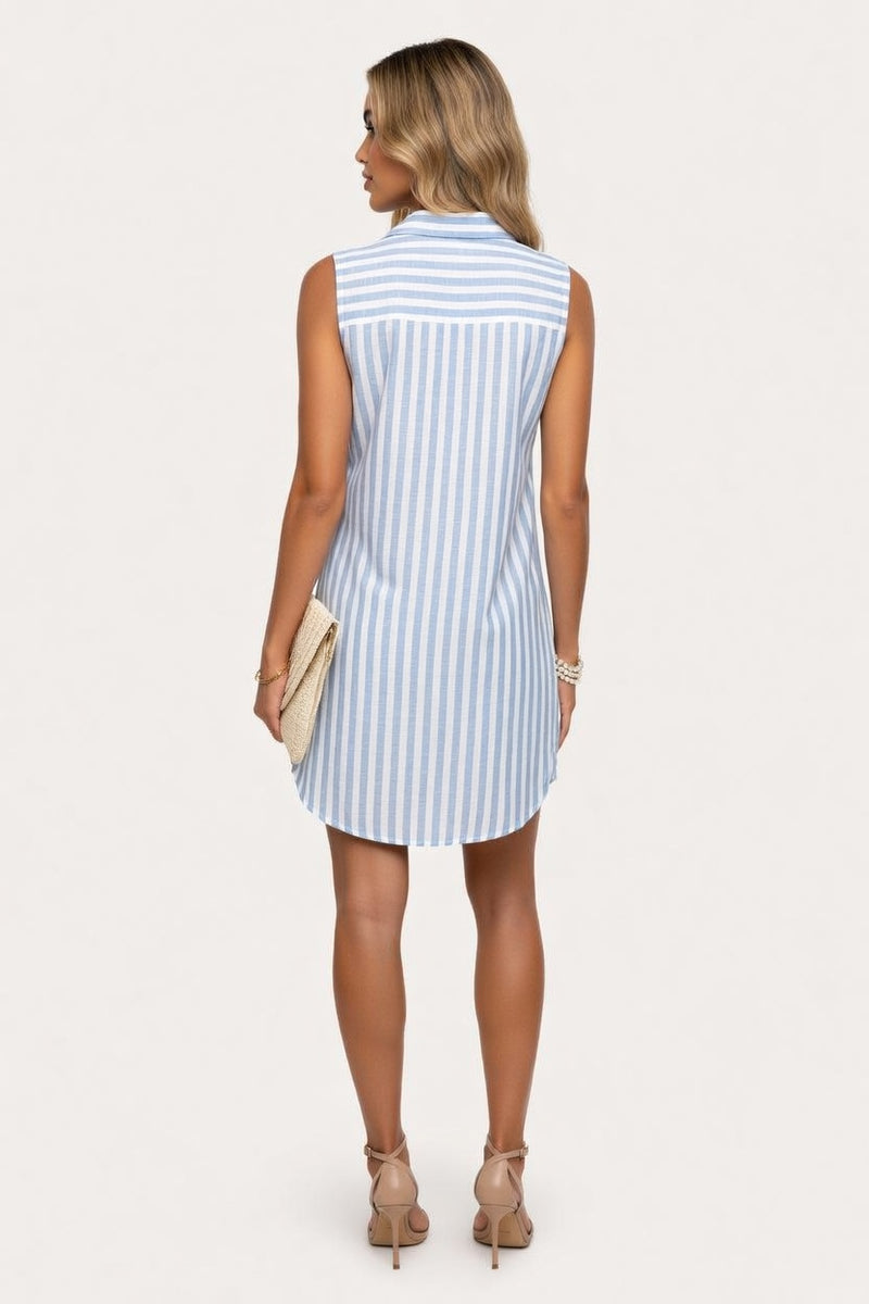Striped Shirt Dress — back view