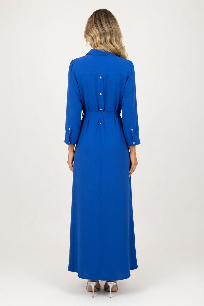 Button Through Chiffon Midi Dress — back view