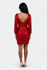 Sequined Tassel Mini Dress — back view