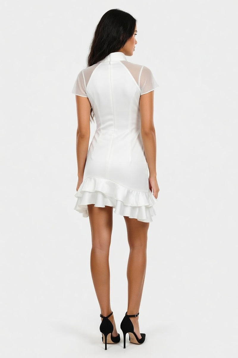 Ruffle Collar Mini Dress — back view