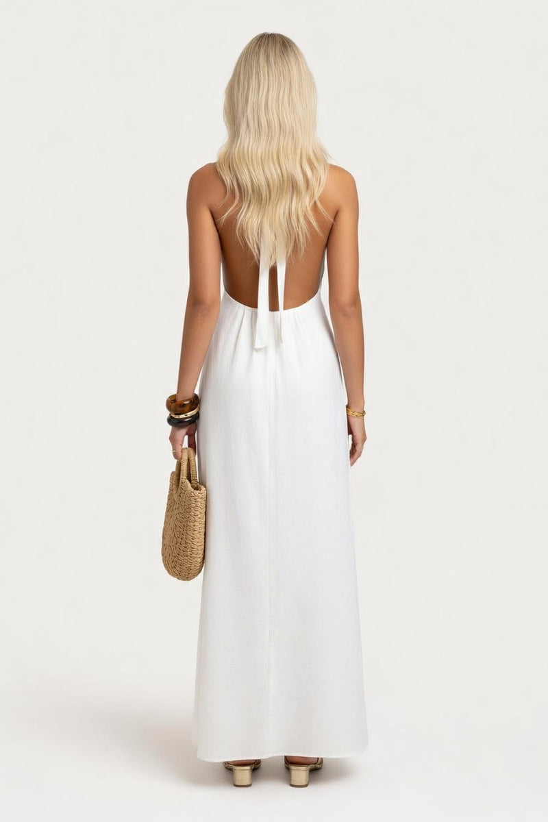 Halter Neck Deep V Backless Dress — back view