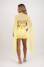 Mesh Ribbon Detail Dress — back view