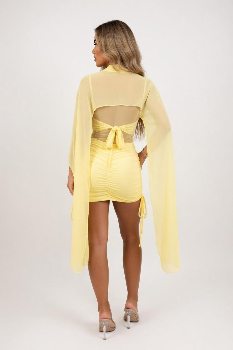Mesh Ribbon Detail Dress — back view