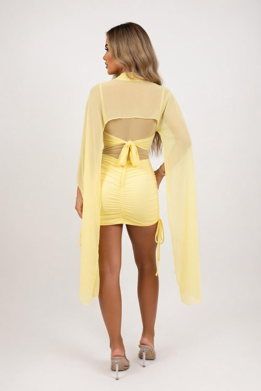 Mesh Ribbon Detail Dress — back view