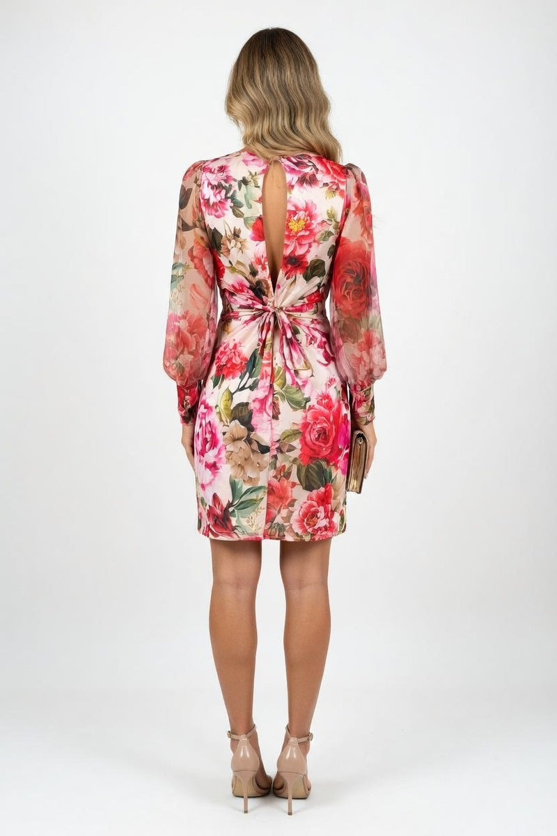 Mesh Sleeve Deep V Midi Dress — back view